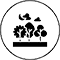 ./